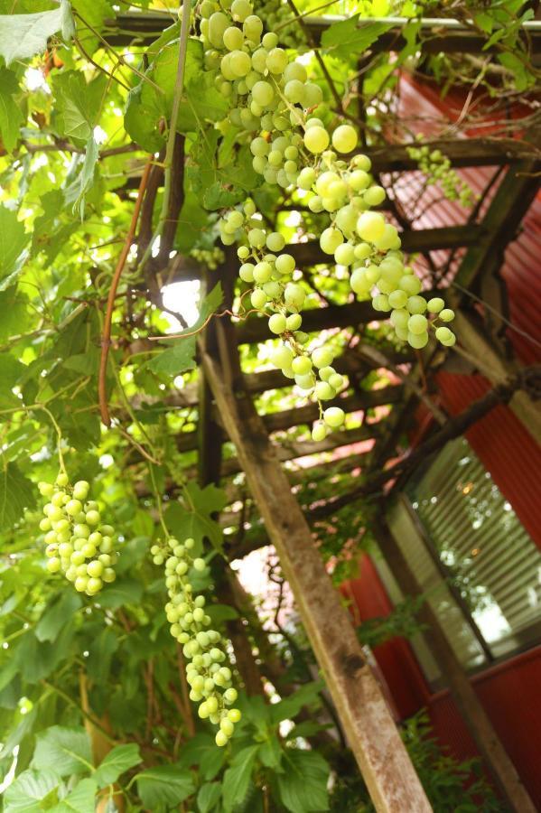Albergue Grapehouse Koenji Tokio Exterior foto